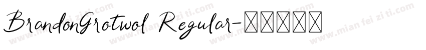 BrandonGrotwol Regular字体转换